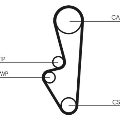 CT798 Zahnriemen