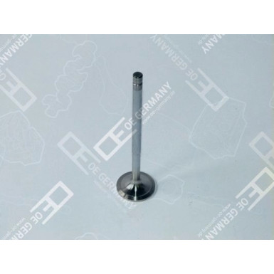 05 0520 120000 Einlassventil