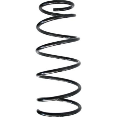 Spidan | Fahrwerksfeder | 87805