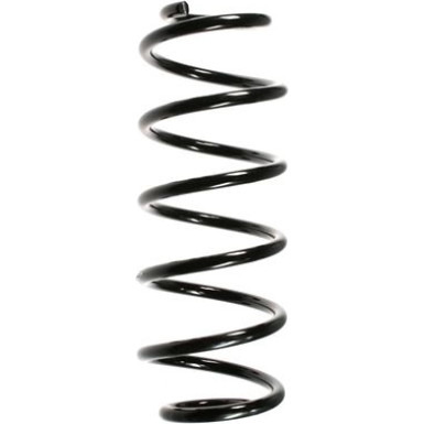 Spidan | Fahrwerksfeder | 48471