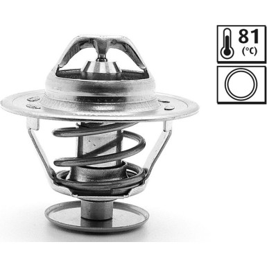 819884 Thermostat, Kühlmittel