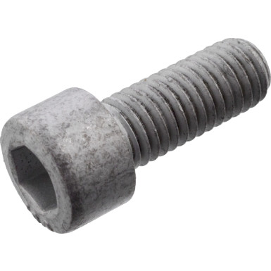 FEBI BILSTEIN 101235 Achsschraube, Antriebswelle