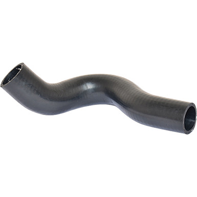 2420185 Kühlerschlauch