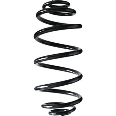 Spidan | Fahrwerksfeder | 55991