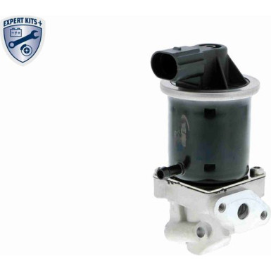 Vemo | AGR-Ventil | V10-63-0072