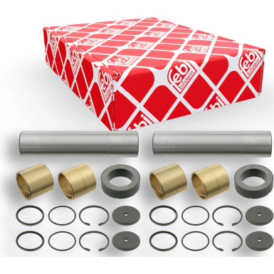 FEBI BILSTEIN 06010 Reparatursatz, Achsschenkelbolzen