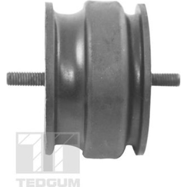 Tedgum | Lagerung, Motor | 00221175