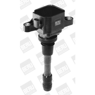 BorgWarner (BERU) | Zündspule | ZSE066