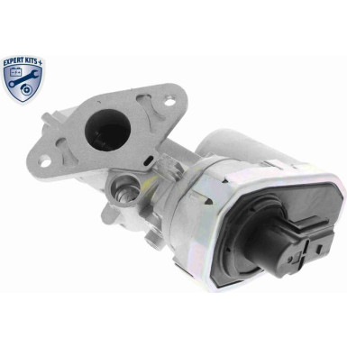 Vemo | AGR-Ventil | V24-63-0003