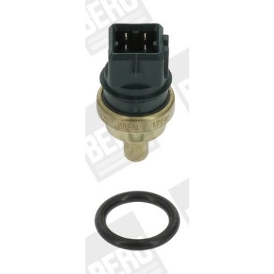 BorgWarner (BERU) | Sensor, Kühlmitteltemperatur | ST121
