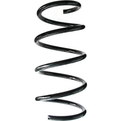 Spidan | Fahrwerksfeder | 87038
