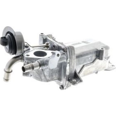 CE 36 000P Kühler, Abgasrückführung BEHR *** PREMIUM LINE ***