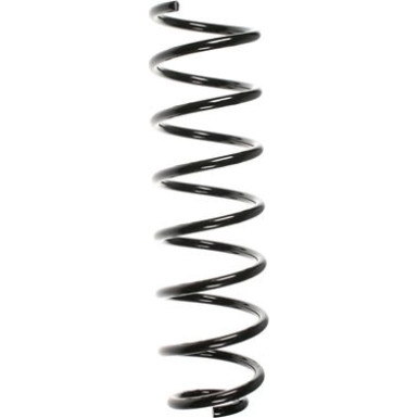 Spidan | Fahrwerksfeder | 48482