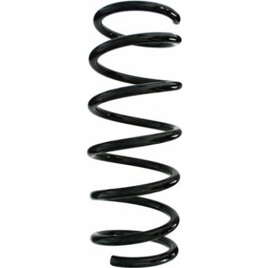 Spidan | Fahrwerksfeder | 87543