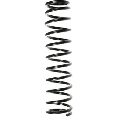 Spidan | Fahrwerksfeder | 55813