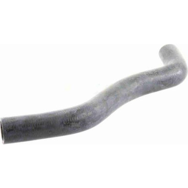 Vaico | Kühlerschlauch | V10-0061