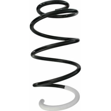 Spidan | Fahrwerksfeder | 87249
