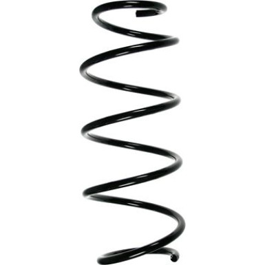 Spidan | Fahrwerksfeder | 55277