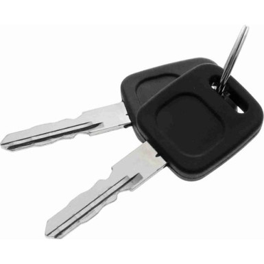 V10-6159 Türaußengriff Original VAICO Qualität