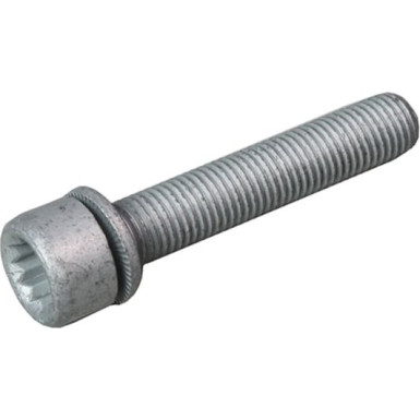 Metzger | Schraube, Bremssattel | 6250007S