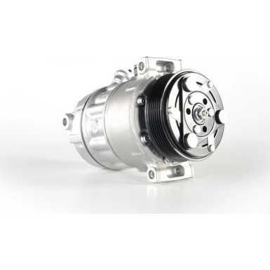 Mahle | Kompressor, Klimaanlage | ACP 500 000P