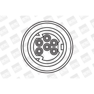 BorgWarner (BERU) | Zündspule | ZS307