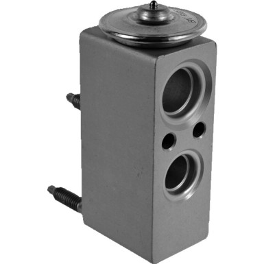 509959 Expansionsventil, Klimaanlage