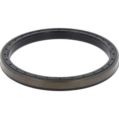 12013126B Wellendichtring, Radnabe