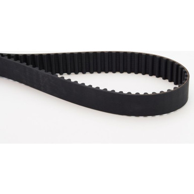 CT1016 Zahnriemen