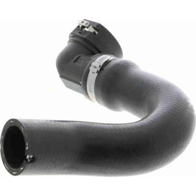 Vaico | Kühlerschlauch | V24-0869 Vaico | Kühlerschlauch | V24-0869