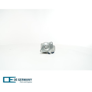 OE Germany | Hydraulikpumpe, Lenkung | 01 1390 900003