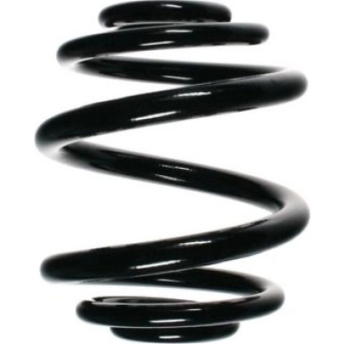 Spidan | Fahrwerksfeder | 56904