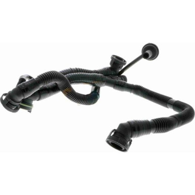 V10-3505 Schlauch, Zylinderkopfhaubenentlüftung Original VAICO Qualität V10-3505 Schlauch, Zylinderkopfhaubenentlüftung Original VAICO Qualität