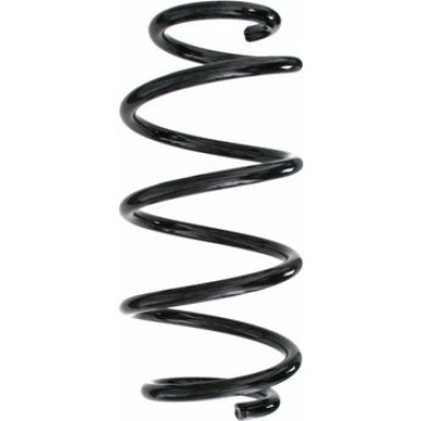 Spidan 2 x SPIDAN Fahrwerksfeder 87305