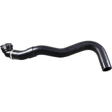 2421639 Kühlerschlauch 2421639 Kühlerschlauch