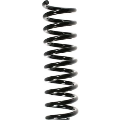 Spidan | Fahrwerksfeder | 49730