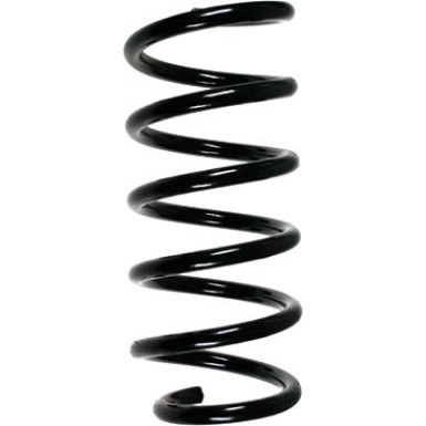 Spidan | Fahrwerksfeder | 55947