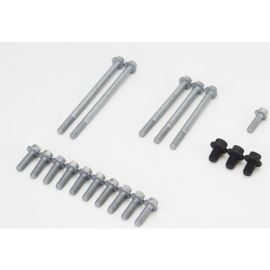 MS55 Schraubensatz, Ölwanne