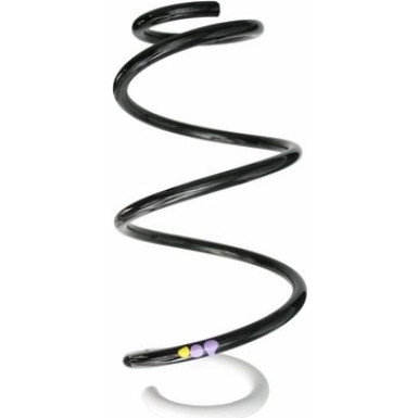 Spidan | Fahrwerksfeder | 87873
