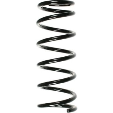 Spidan | Fahrwerksfeder | 55897