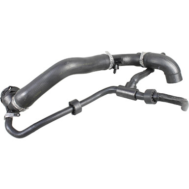 2420903 Kühlerschlauch