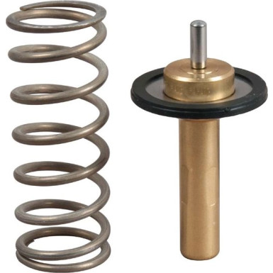 TH51690G1 Thermostat, Kühlmittel