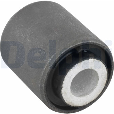 Delphi | Lagerung, Achsstrebe | TD450W