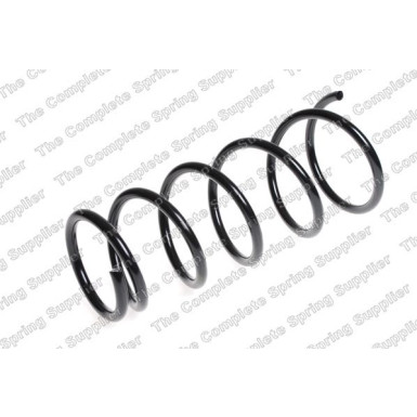 4026213 Fahrwerksfeder 4026213 Fahrwerksfeder