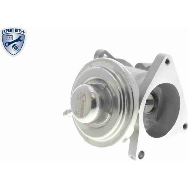 Vemo | AGR-Ventil | V10-63-0011-1