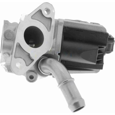 Vemo | AGR-Ventil | V22-63-0019