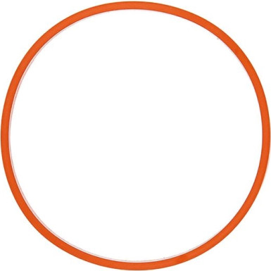 A2C59516948 Dichtung A2C59516948 Dichtung