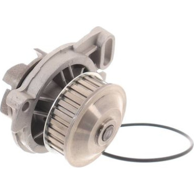 SKF | Wasserpumpe | VKPC 81605