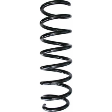 Spidan | Fahrwerksfeder | 87736