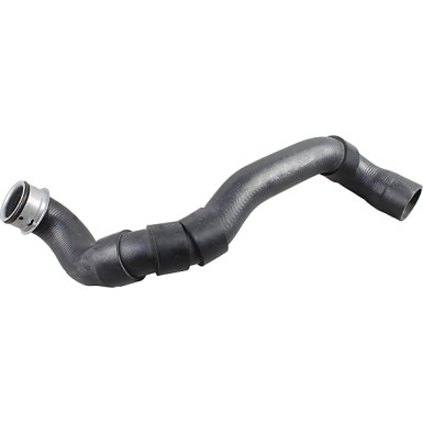 2420964 Kühlerschlauch